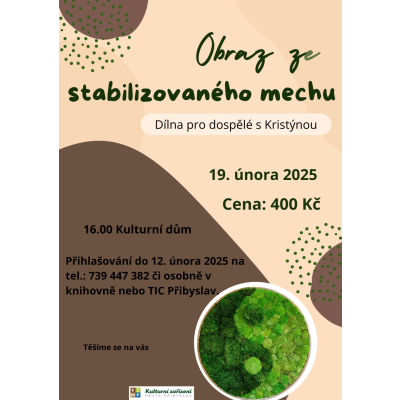 Dílny pro dospělé/Obraz ze stabilizovaného mechu