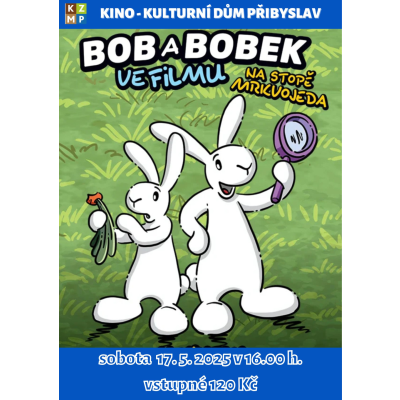 Bob a Bobek ve filmu/kino